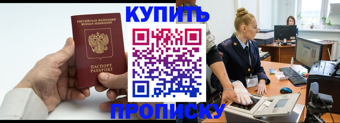 временная регистрация поиск в Димитровграде