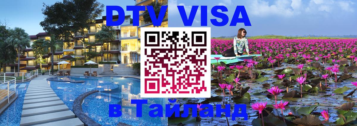 Оформление DTV визы под ключ: стоимость и тарифы, только загранпаспорт - Димитровград  04.10.2025 